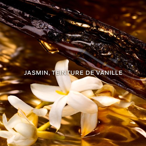 GUERLAIN-Shalimar Millesime Jasmin - Eau de Parfum GUERLAIN-Shalimar Millesime Jasmin - Eau de Parfum